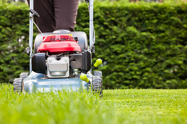 Person using a lawn mower to cut grass in a residential backyard