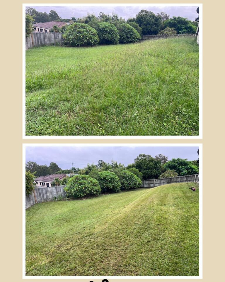 Before and after comparison of a backyard lawn showing overgrown grass transformed into a neatly mowed and edged yard.