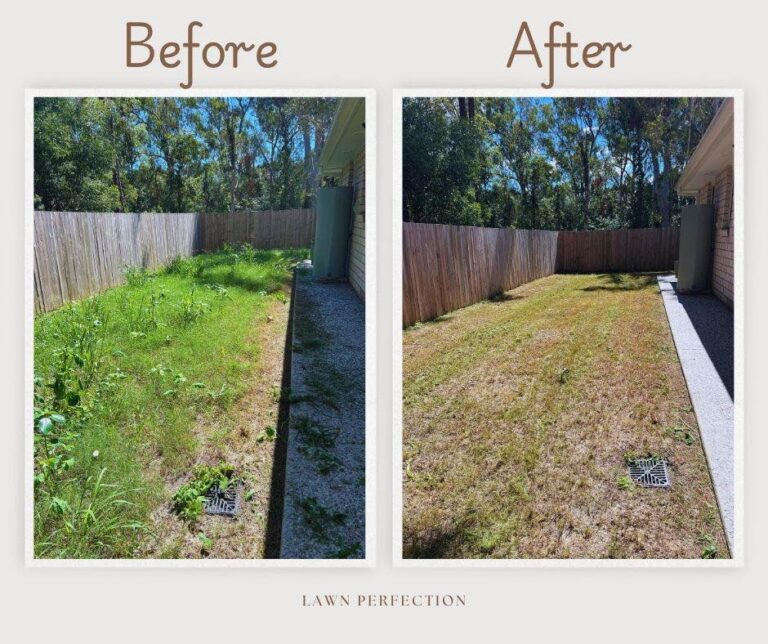 Before and after photos of a side yard showing overgrown weeds and grass cleared to reveal a neat, well-defined pathway and lawn area.