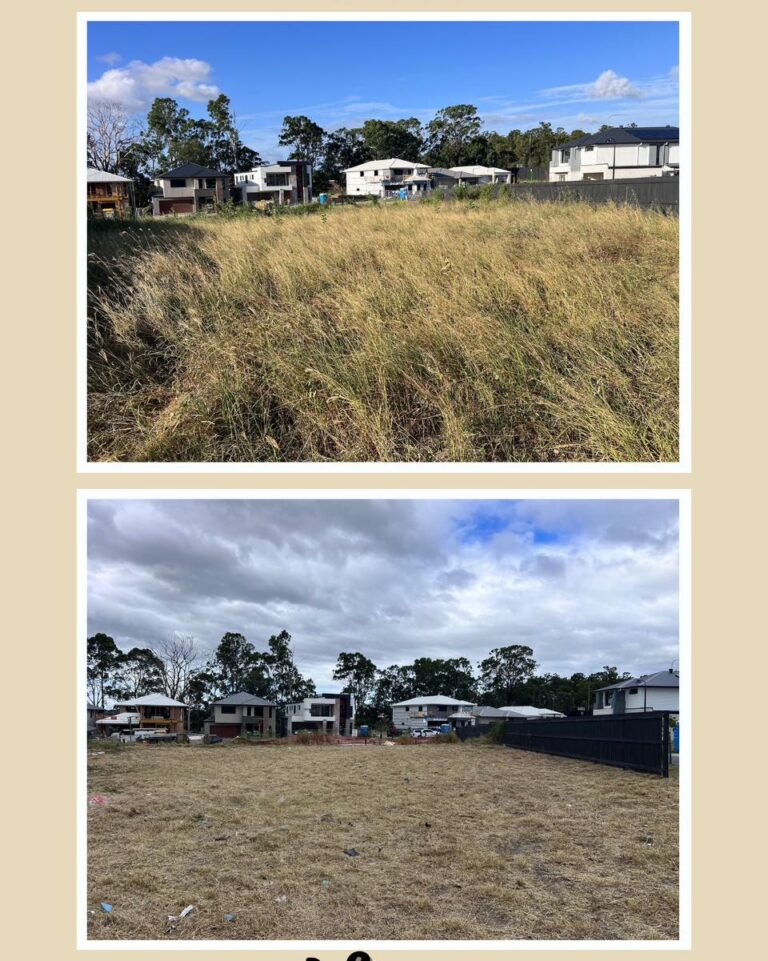 Before and after images of a large, overgrown vacant lot transformed into a cleared, slashed, and maintained open space.