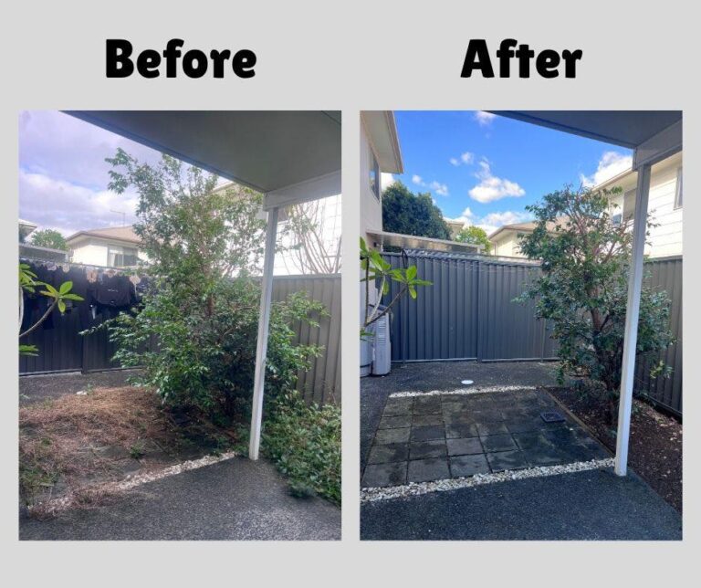 Before and after photos of a small courtyard area showing overgrown plants and debris cleaned up and neatly restored.