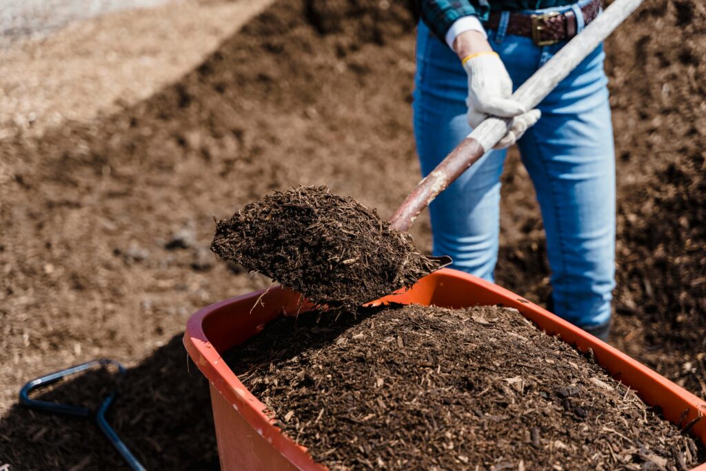 A person using a shovel to load mulch into a red wheelbarrow, preparing for garden bed coverage.